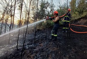 Požár lesa na Svitavsku stále není lokalizovaný, v terénu pátrá i dron